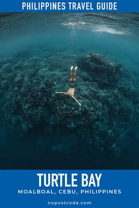 TURTLE BAY MOALBOAL: Best Snorkeling Spot in .